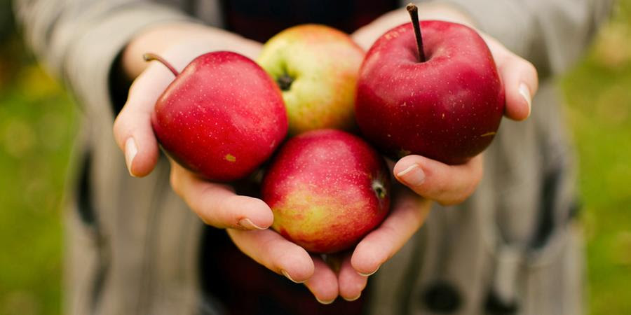 THE DAILY MEDITATION: Fr Richard Rohr | ALL SAINTS CHALLOCH